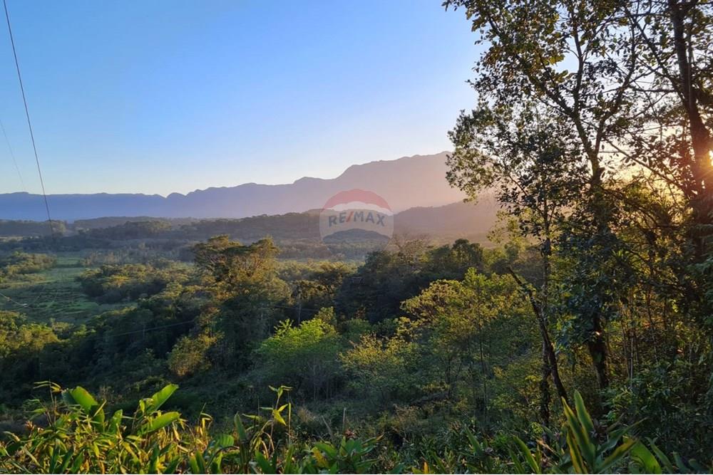 Chácara / Sítio / Fazenda - Venda - Antonina , Paraná - aeb515d3-c65d-464d-a882-82463d0f54b7.jpeg - 560391051-9