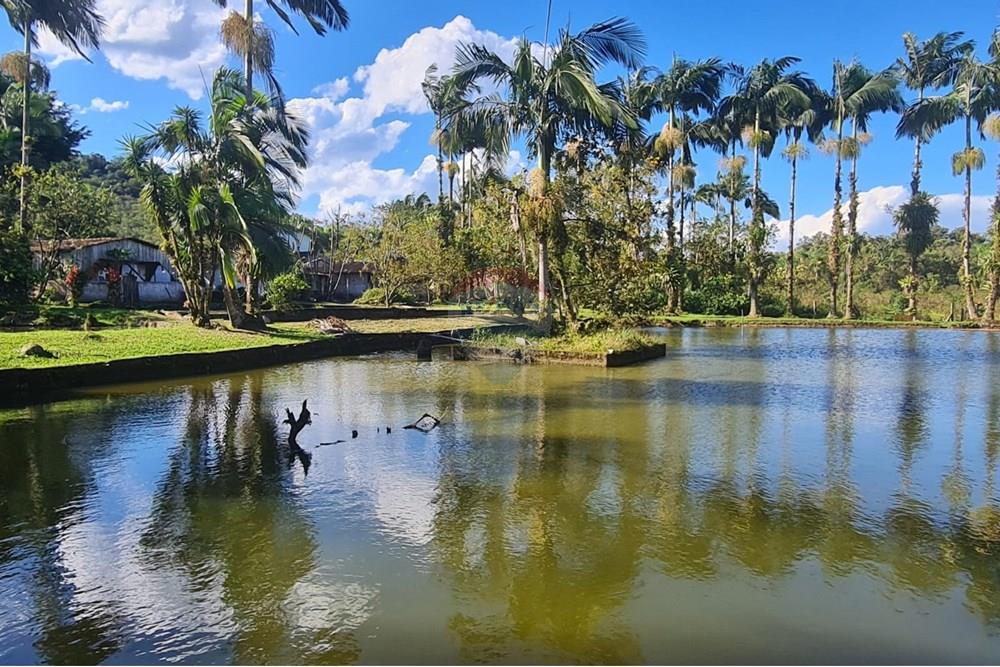 Chácara / Sítio / Fazenda - Venda - Antonina , Paraná - 06c0b13c-47c5-4373-b98b-a7aa254172f5.jpeg - 560391051-9