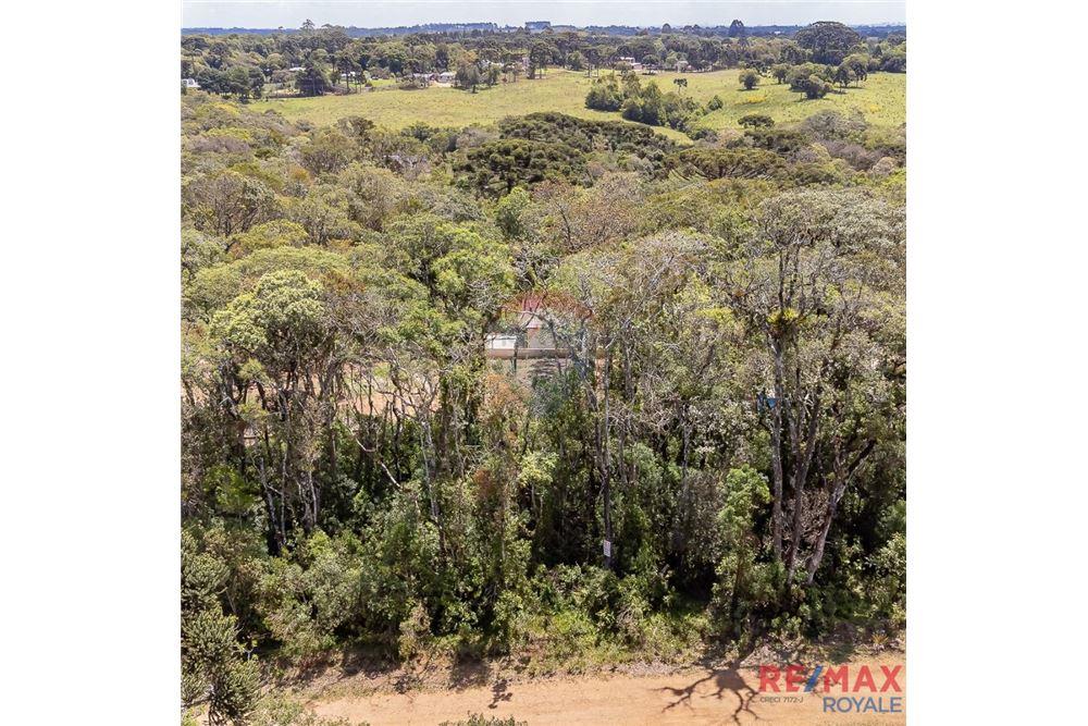 Terreno - Venda - São José dos Pinhais , Paraná - 16 - 560251029-43