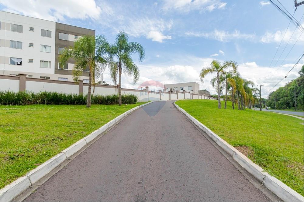 Apartamento - Venda - Campo Largo , Paraná - dccec7b9-7861-4c6f-8d71-ddb7b6ded2f6.jpeg - 560411032-61