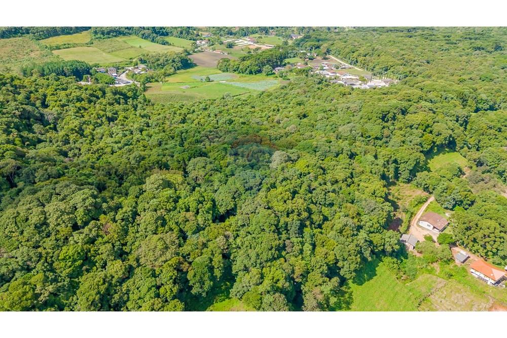 Terreno - Venda - Colombo , Paraná - DJI_20250317145838_0129_D.jpg - 560391062-11