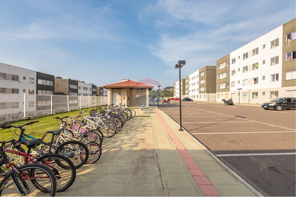 Apartamento - Venda - Campo Largo , Paraná - IMG_2664.jpg - 560461027-3