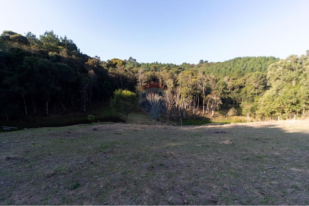 Chácara / Sítio / Fazenda - Venda - Mandirituba , Paraná - IMG_1361.jpg - 560341112-24