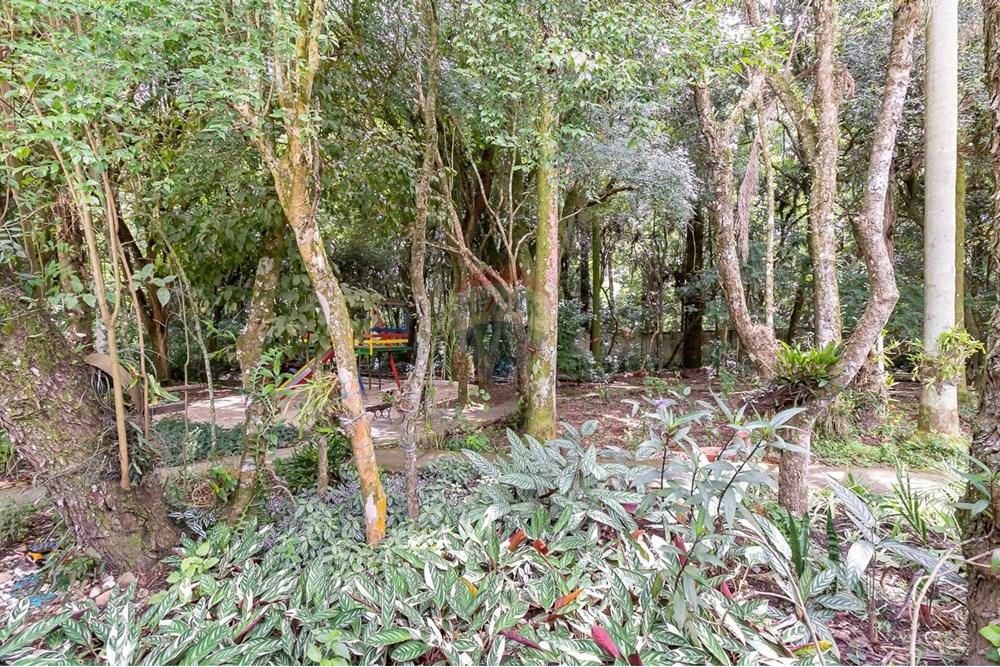 Apartamento - Alugar - Curitiba , Paraná - WhatsApp Image 2025-08-01 at 12.26.34 (3).jpeg - 560441028-4