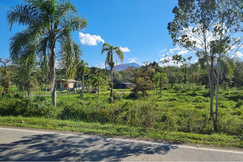 Chácara / Sítio / Fazenda - Venda - Antonina , Paraná - 7e35b22c-5209-4fc2-82a4-9bd0f1ed311e.jpeg - 560391051-9