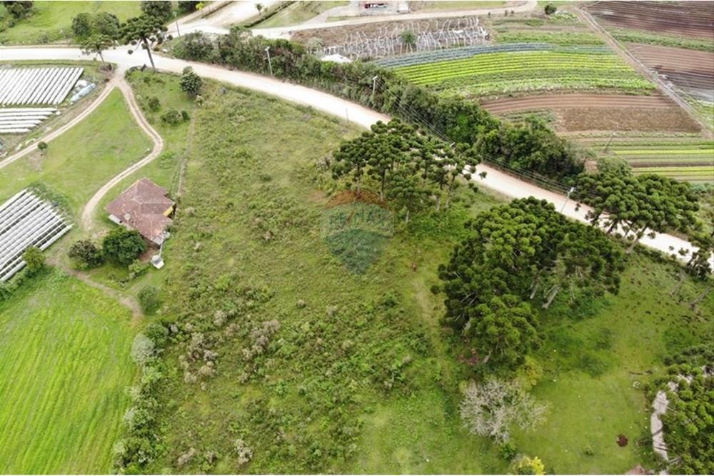 Terreno - Venda - São José dos Pinhais , Paraná - WhatsApp Image 2025-03-22 at 22.01.46 (12).jpeg - 560351069-39