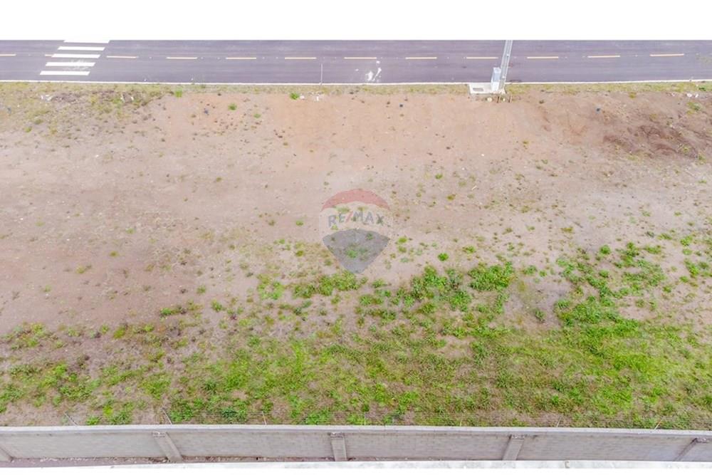 Terreno - Venda - São José dos Pinhais , Paraná - DJI_0332.jpg - 560411070-66