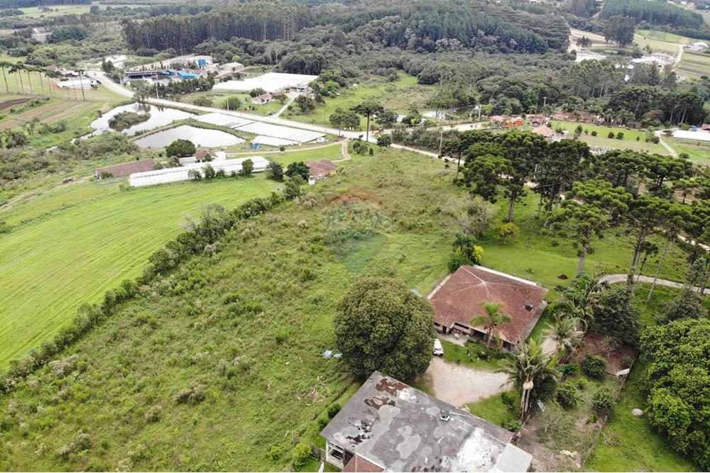 Terreno - Venda - São José dos Pinhais , Paraná - DJI_0645.JPG - 560351069-39