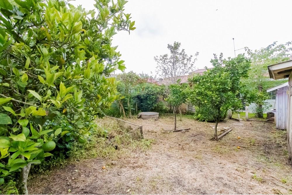 Casa - Alugar - Curitiba , Paraná - IMG_9023_1.jpg - 560411052-109