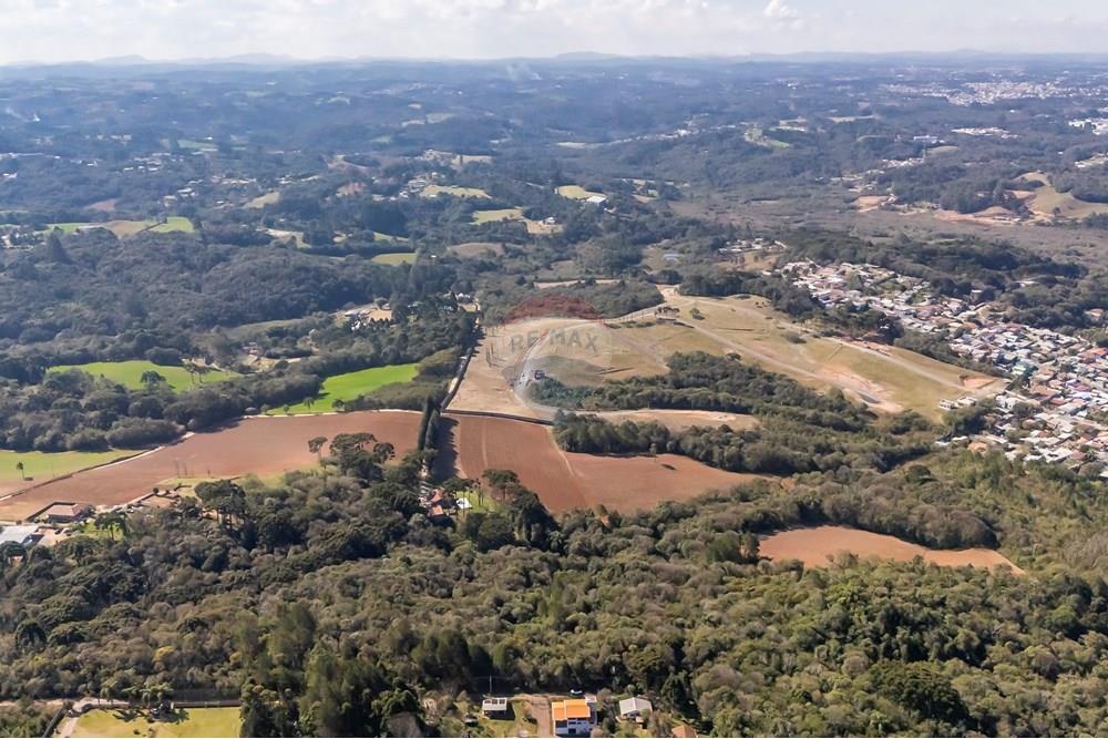 Terreno - Venda - Campo Largo , Paraná - DJI_20250818141557_0044_D_1.jpg - 560461009-53
