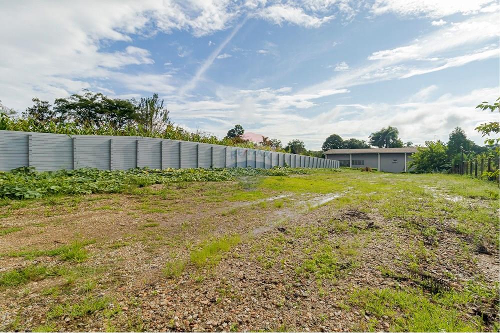 Chácara / Sítio / Fazenda - Alugar - Fazenda Rio Grande , Paraná - IMG_9370.jpg - 560391075-16