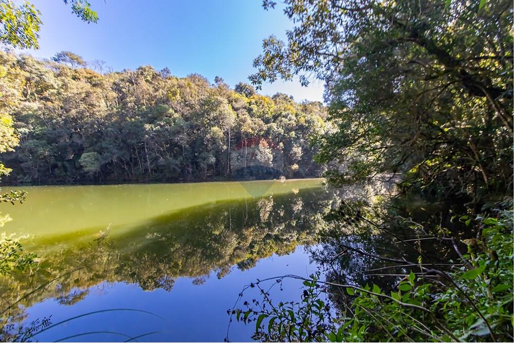 Chácara / Sítio / Fazenda - Venda - Piraquara , Paraná - IMG_3632.jpg - 560431012-39