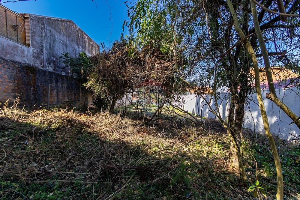 Terreno - Venda - Curitiba , Paraná - IMG_7323.jpg - 560341040-20