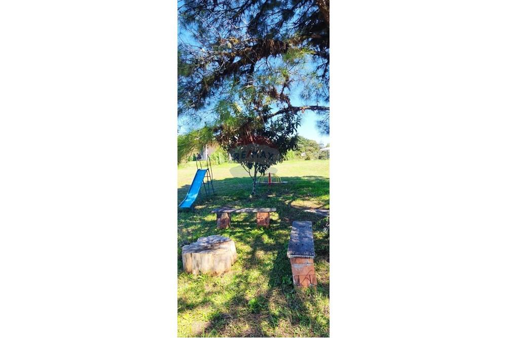 Chácara / Sítio / Fazenda - Venda - São José dos Pinhais , Paraná - 24.jpeg - 560331080-8