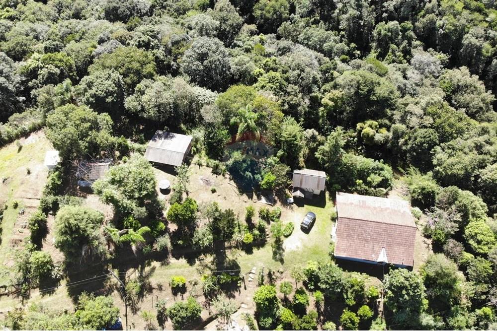 Chácara / Sítio / Fazenda - Venda - Campo Magro , Paraná - WhatsApp Image 2025-04-09 at 19.11.28 (1).jpeg - 560351106-18