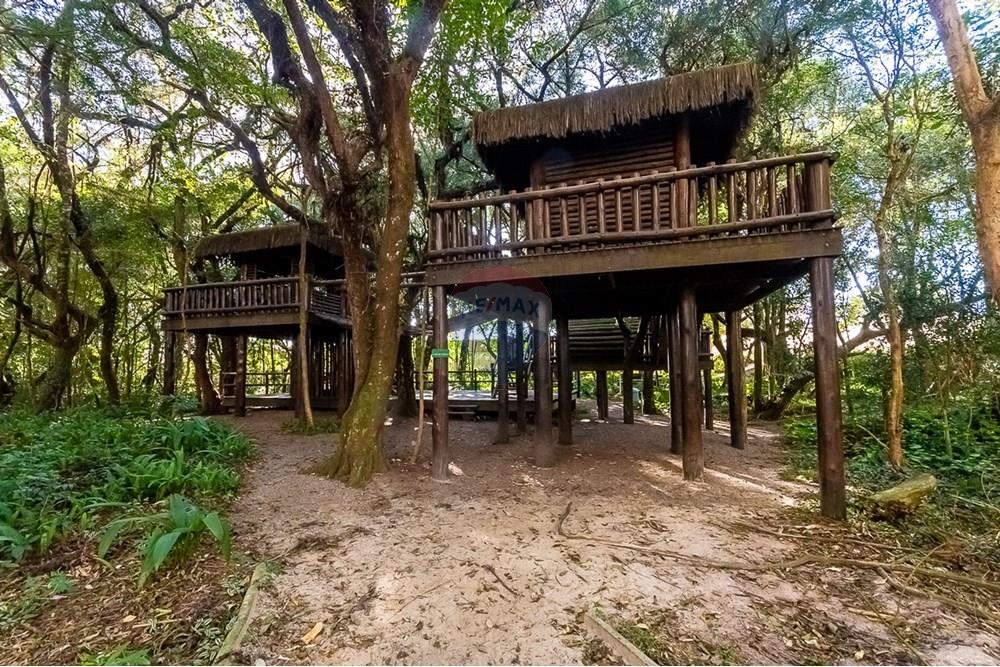 Apartamento - Alugar - Curitiba , Paraná - ProfPedroVPdeSouza-74.jpg - 560311047-543