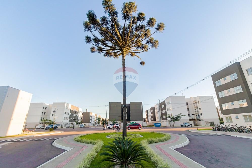 Residential - Condo/Apartment - Campo Largo , Paraná - BR - IMG_9990.jpg - 560411052-110