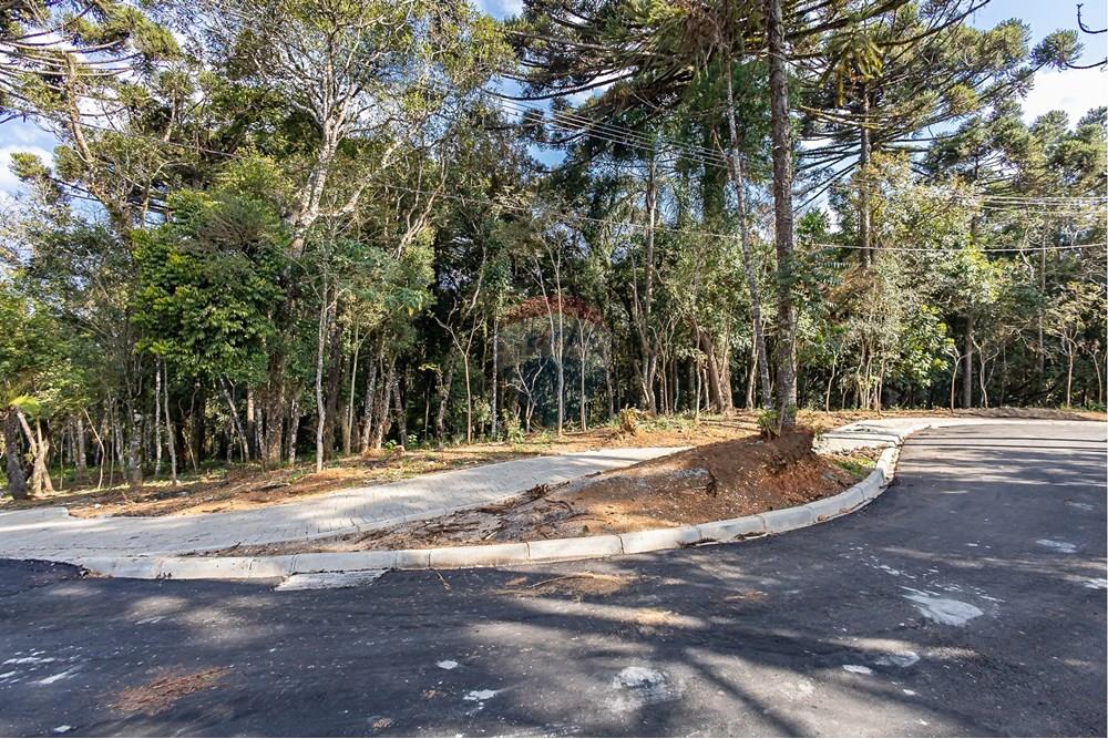 Casa de Condomínio - Venda - Curitiba , Paraná - IMG_6321.jpg - 560431033-13