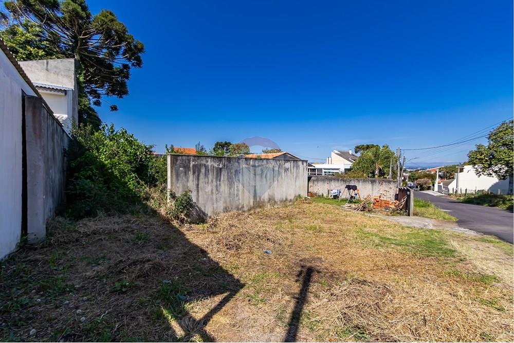 Terreno - Venda - Curitiba , Paraná - IMG_7343.jpg - 560341040-21