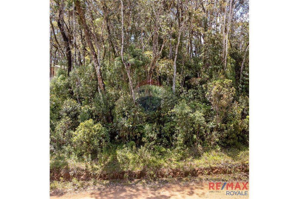 Terreno - Venda - São José dos Pinhais , Paraná - 14 - 560251029-43