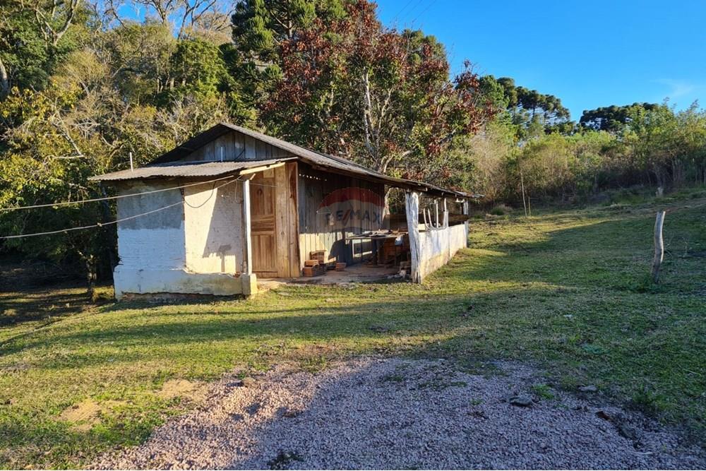 Chácara / Sítio / Fazenda - Venda - Mandirituba , Paraná - 00561ea7-68f9-43fd-a764-de35fb02e7bc.jpeg - 560391051-7
