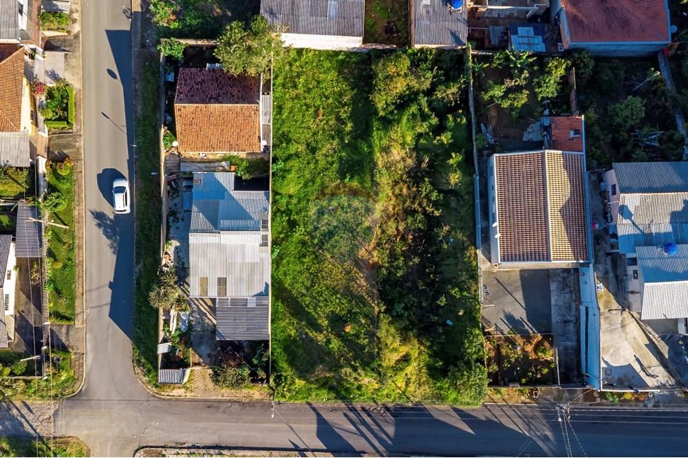Terreno - Venda - Campo Largo , Paraná - DJI_0740_1.jpg - 560411008-81