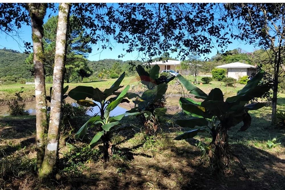 Chácara / Sítio / Fazenda - Venda - São José dos Pinhais , Paraná - 11.jpeg - 560331080-8