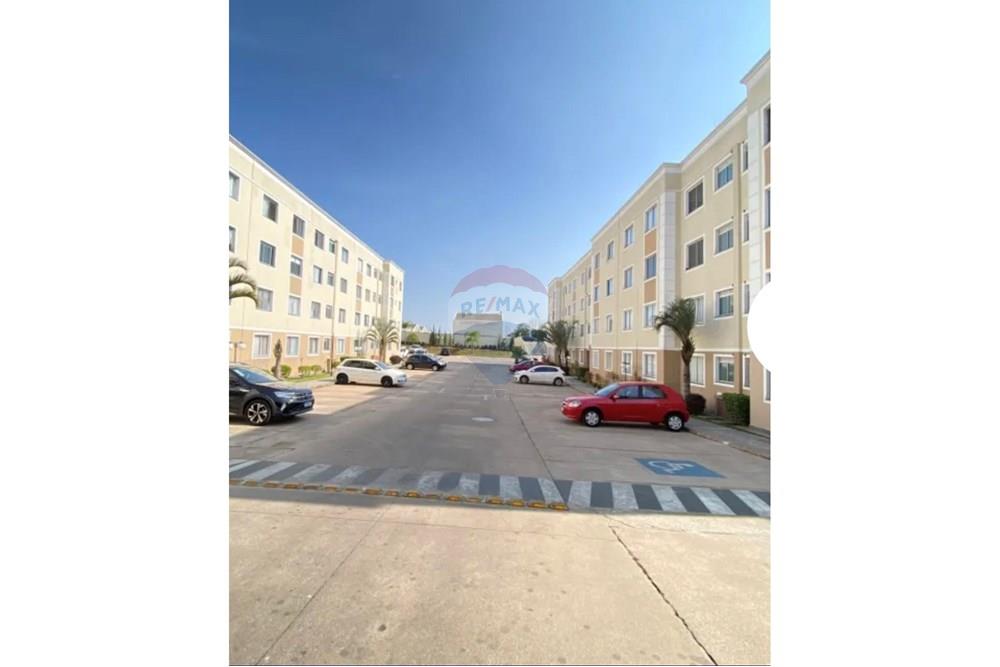 Apartamento - Venda - São José dos Pinhais , Paraná - IMG_5828.jpeg - 560481004-23