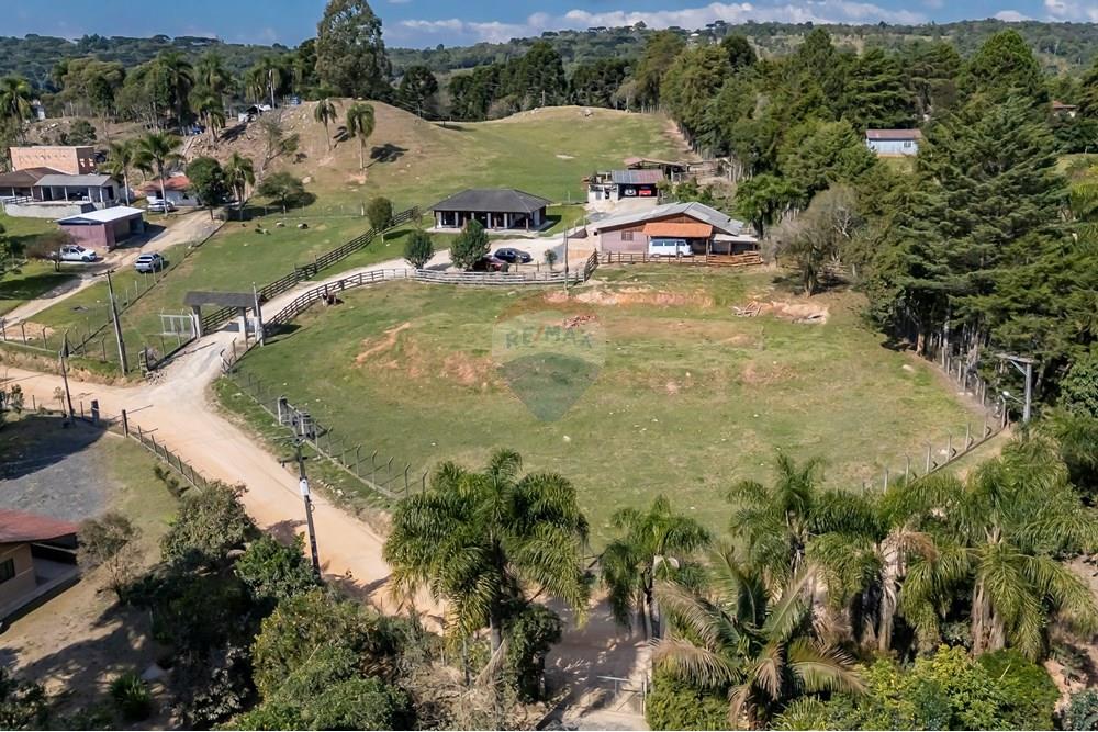Chácara / Sítio / Fazenda - Venda - Campo Largo , Paraná - F (2).jpg - 560351150-1