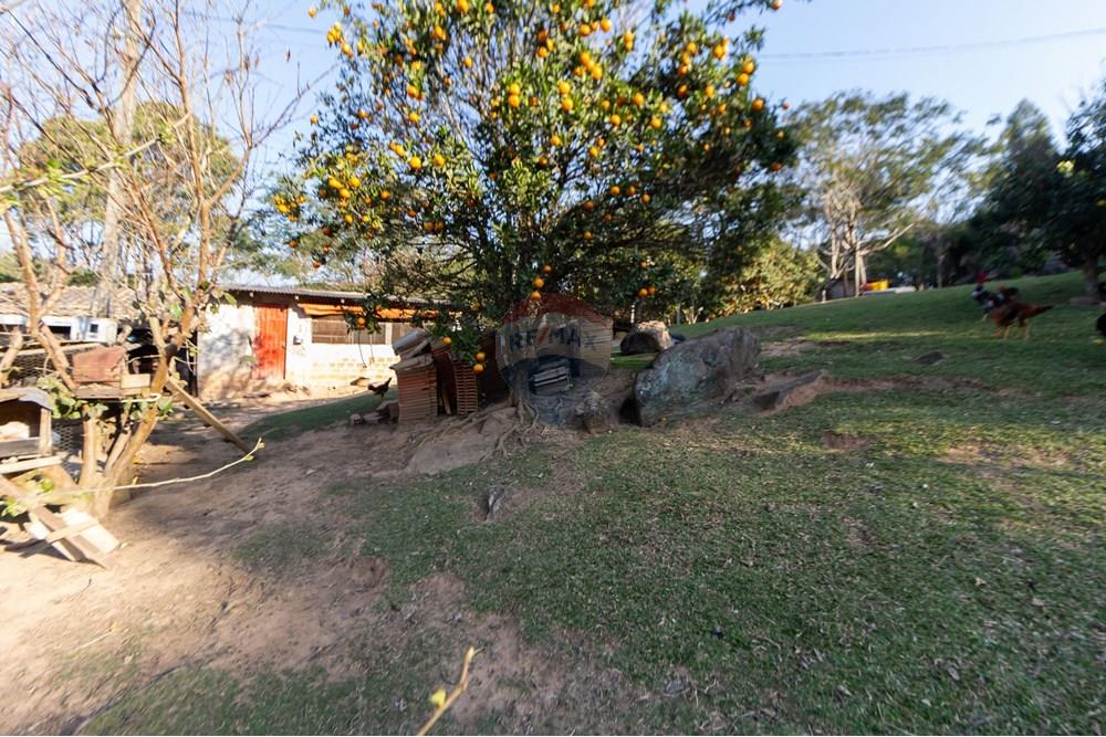 Chácara / Sítio / Fazenda - Venda - Mandirituba , Paraná - IMG_1349.jpg - 560341112-24