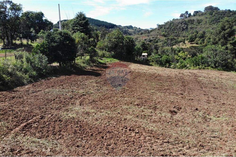 Chácara / Sítio / Fazenda - Venda - Campo Magro , Paraná - WhatsApp Image 2025-04-09 at 19.11.34.jpeg - 560351106-18