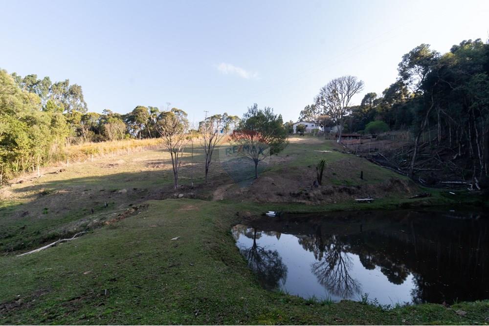 Chácara / Sítio / Fazenda - Venda - Mandirituba , Paraná - IMG_1368.jpg - 560341112-24