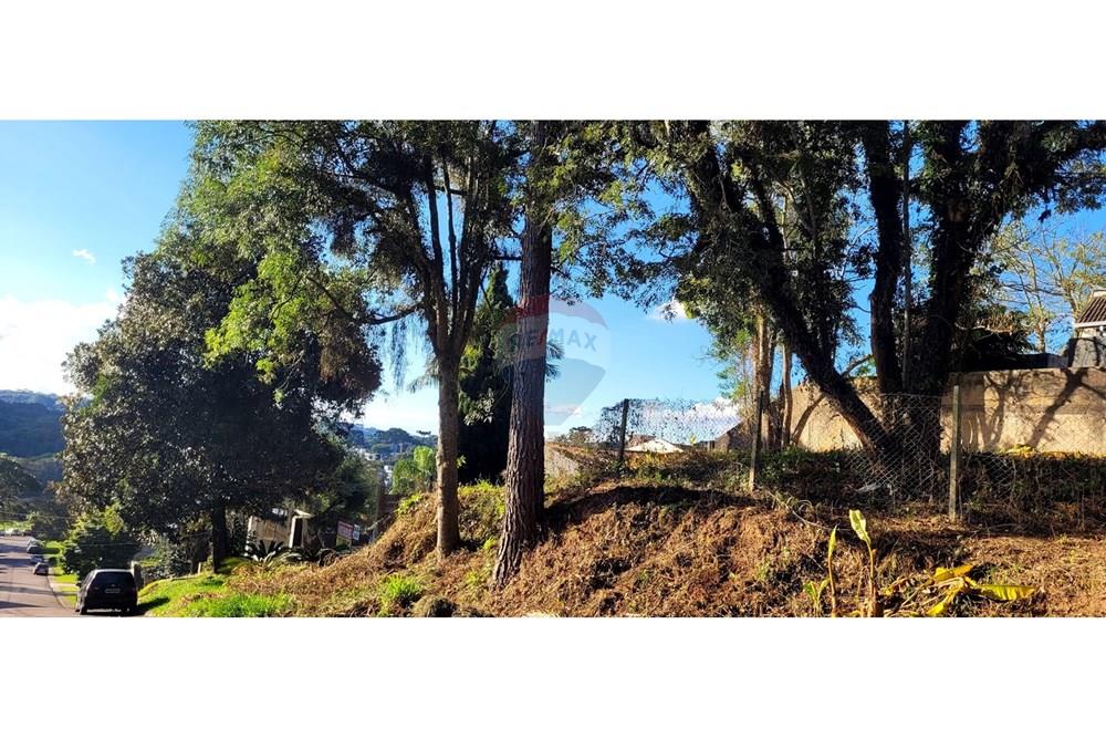 Terreno - Venda - Curitiba , Paraná - foto 5.jpg - 560251041-53