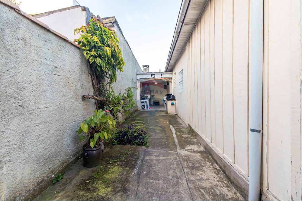 Terreno - Venda - Curitiba , Paraná - IMG_6087_1.jpg - 560441037-9