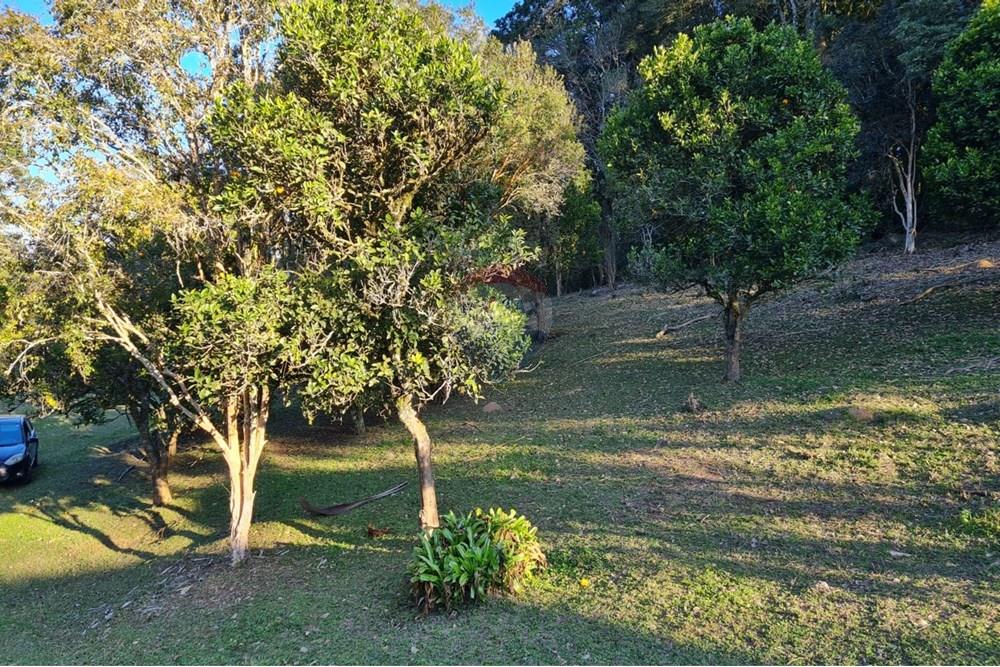 Chácara / Sítio / Fazenda - Venda - Mandirituba , Paraná - 26d580b2-54e0-4228-bb16-e51d8e9d0a70.jpeg - 560391051-7
