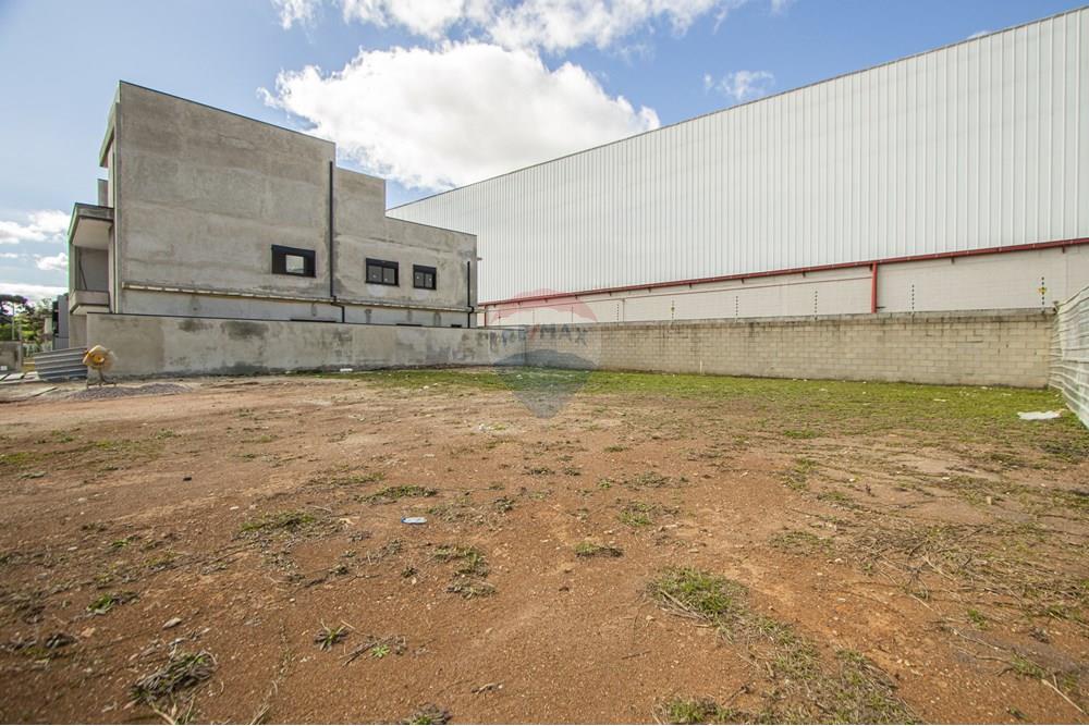 Terreno - Venda - São José dos Pinhais , Paraná - IMG_0282.jpg - 560411070-66