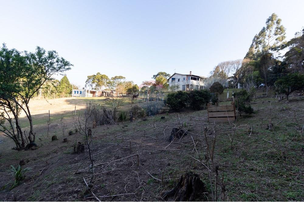 Chácara / Sítio / Fazenda - Venda - Mandirituba , Paraná - IMG_1353.jpg - 560341112-24