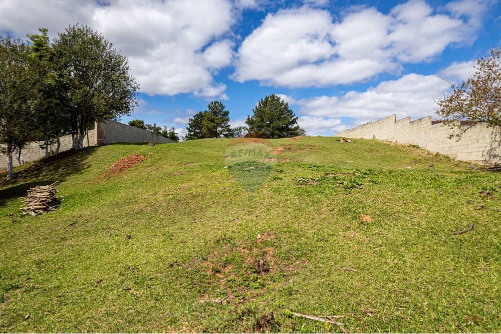 Terreno - Venda - Campo Largo , Paraná - DJI_0834.jpg - 560391078-61