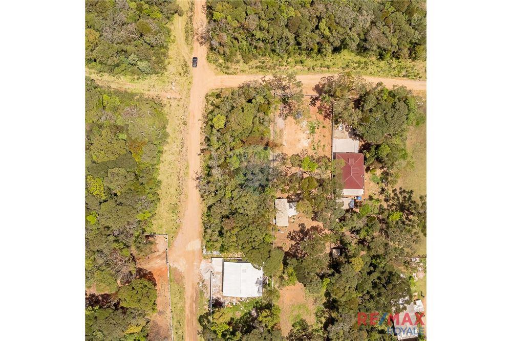 Terreno - Venda - São José dos Pinhais , Paraná - 22 - 560251029-43