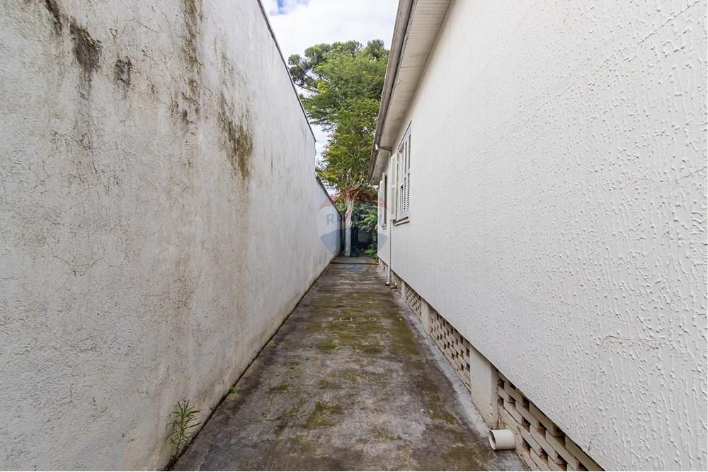 Terreno - Venda - Curitiba , Paraná - IMG_2221.jpg - 560311047-485