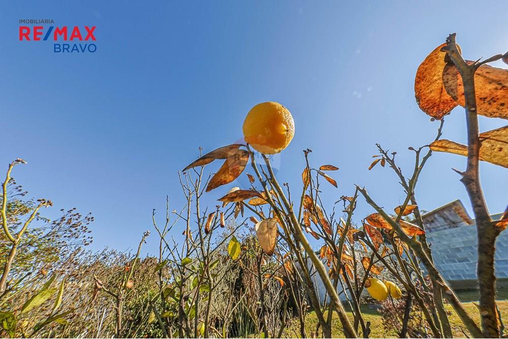 Casa de Condomínio - Venda - Campo Largo , Paraná - CRF_2014.jpg - 560371021-42