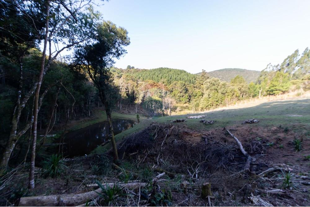 Chácara / Sítio / Fazenda - Venda - Mandirituba , Paraná - IMG_1357.jpg - 560341112-24