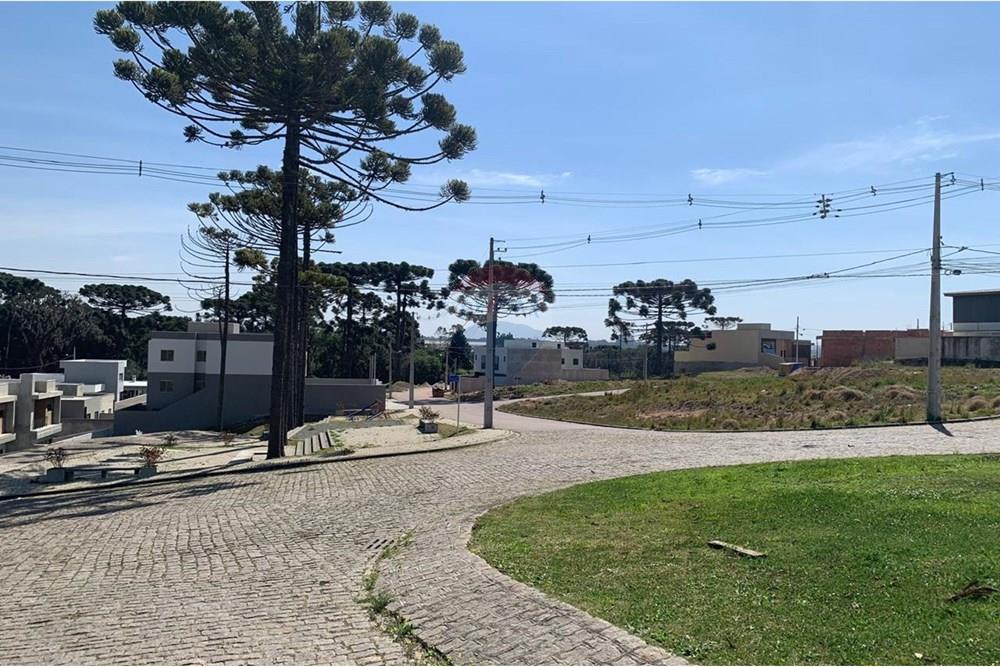 Terreno - Venda - Quatro Barras , Paraná - 19.jpg - 560461019-10