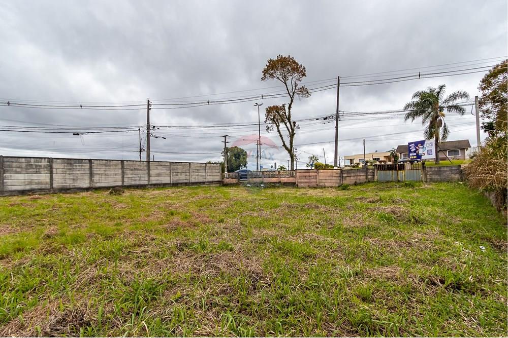 Terreno - Venda - Quatro Barras , Paraná - IMG_9738.jpg - 560411029-21