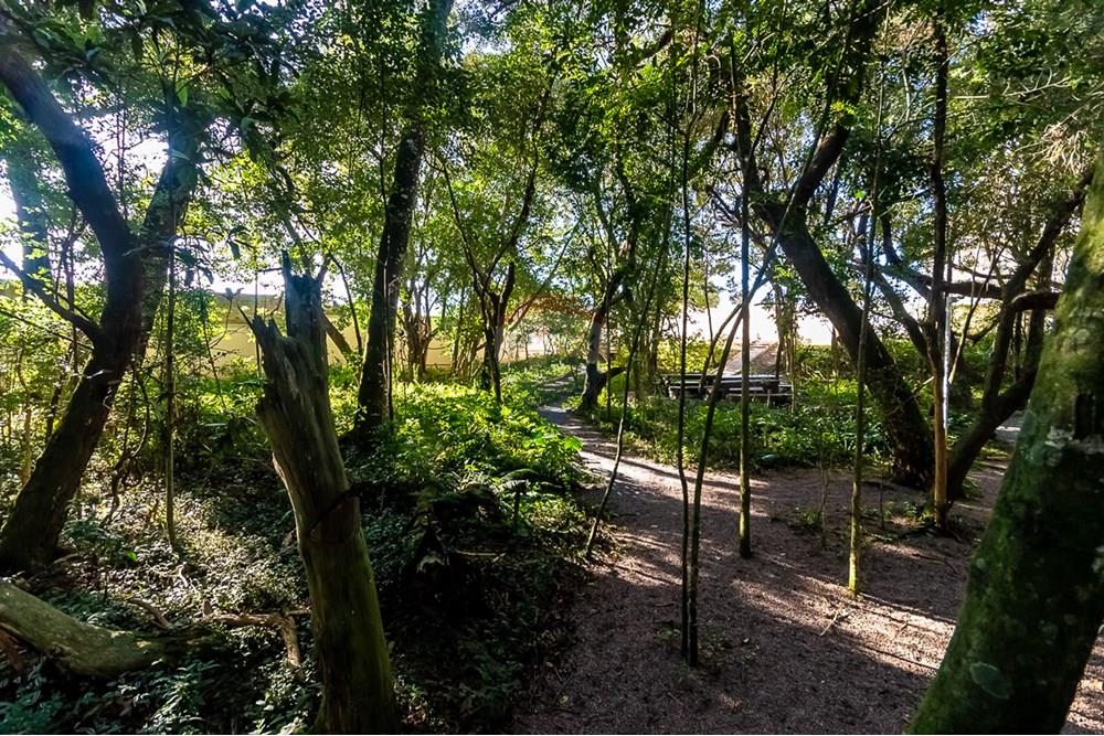 Apartamento - Alugar - Curitiba , Paraná - ProfPedroVPdeSouza-78.jpg - 560311047-543