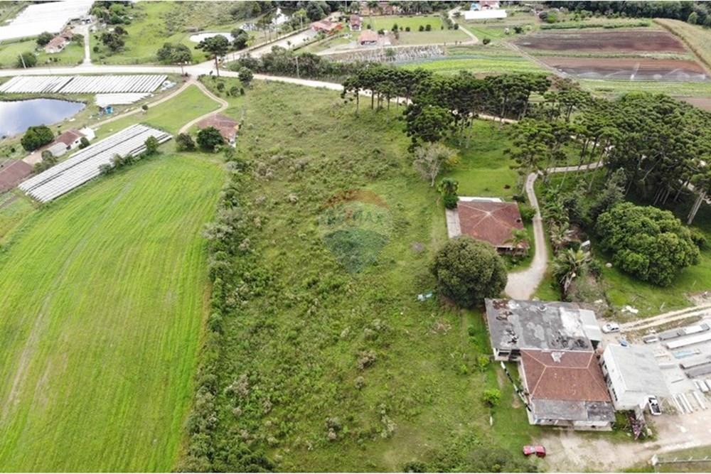 Terreno - Venda - São José dos Pinhais , Paraná - WhatsApp Image 2025-03-22 at 22.01.46 (10).jpeg - 560351069-39