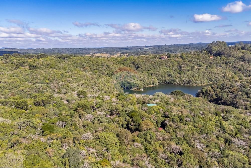 Chácara / Sítio / Fazenda - Venda - Piraquara , Paraná - DJI_0499_1.jpg - 560431012-39