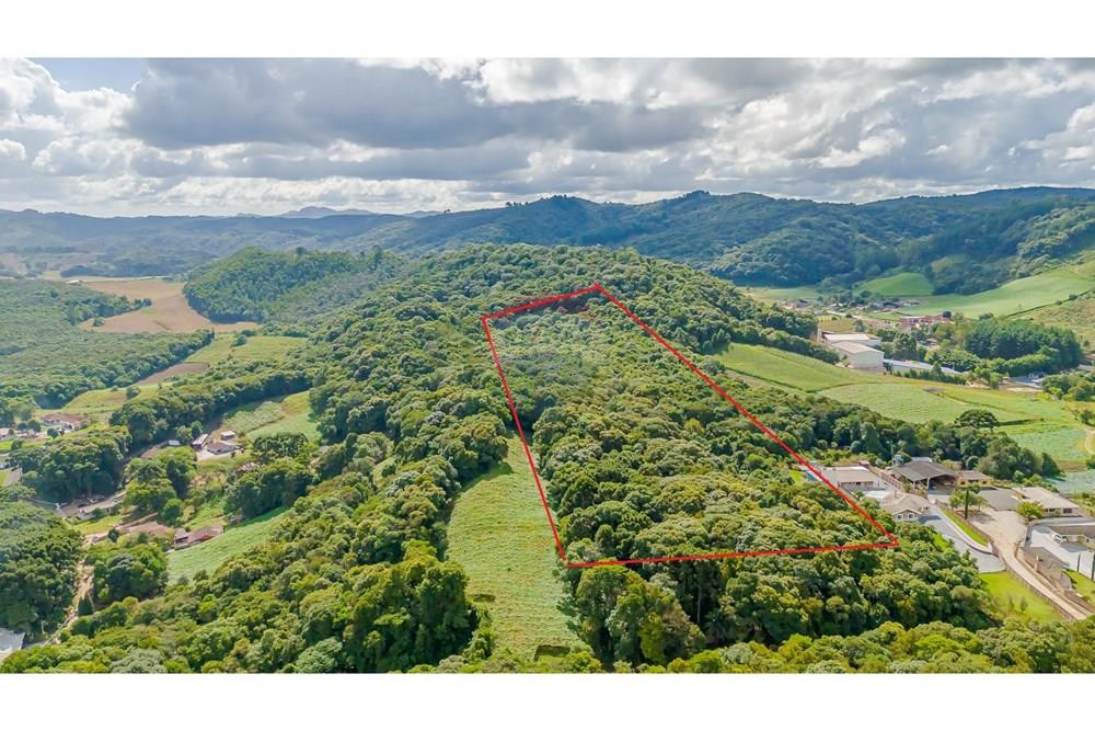 Terreno - Venda - Colombo , Paraná - FOTO DRONE DEMARCADA - Copia.jpg - 560391062-11