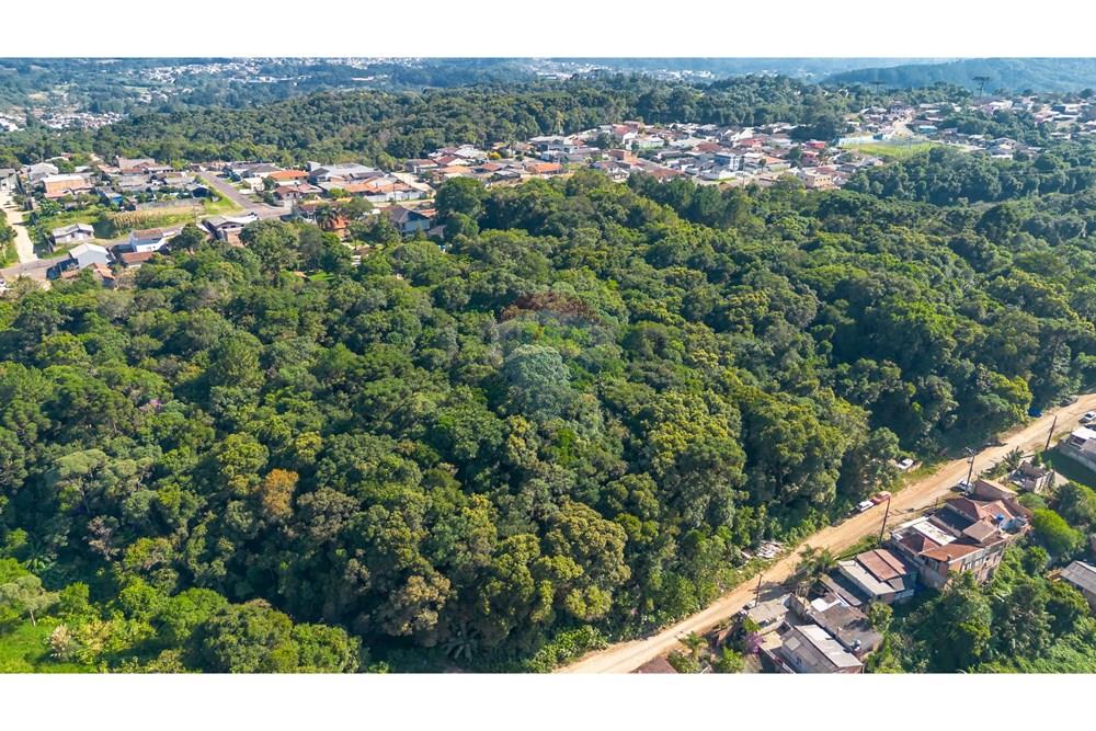 Terreno - Venda - Almirante Tamandaré , Paraná - DJI_0020.jpg - 560411008-76