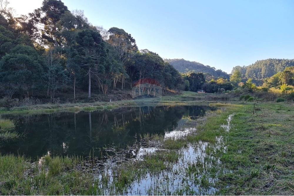 Chácara / Sítio / Fazenda - Venda - Mandirituba , Paraná - 9aebc452-6bd4-41dd-ace7-8d1d1d21abbc.jpeg - 560391051-7